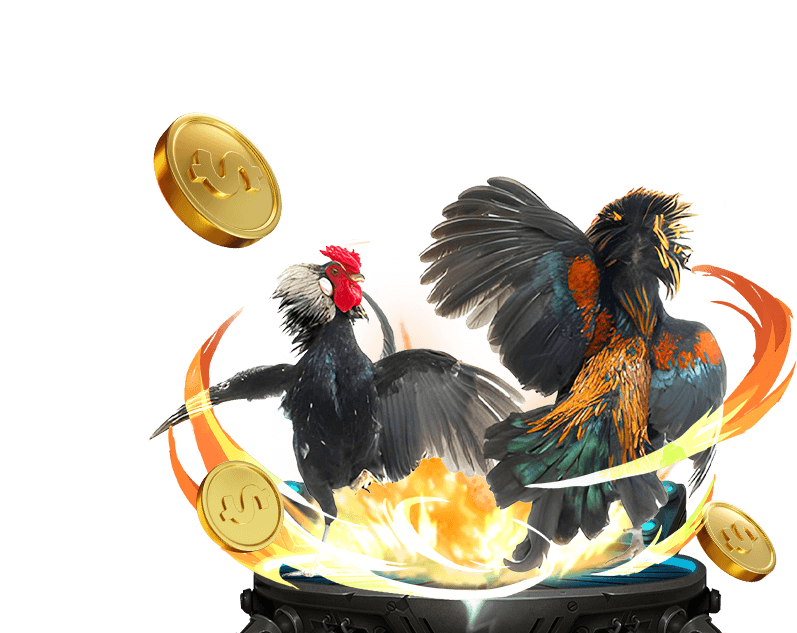 Cá cược Đá Gà lc 88